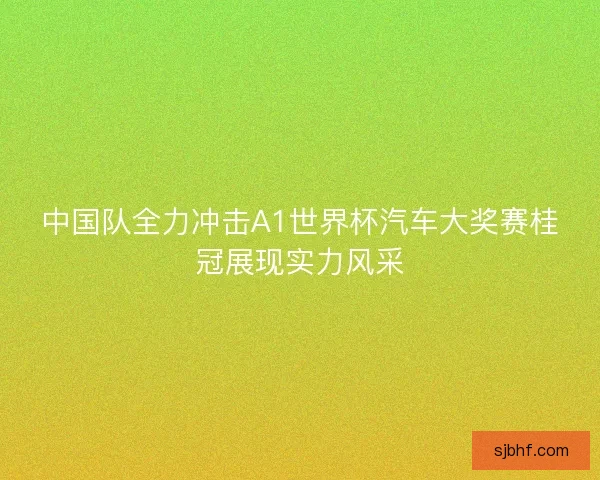 中国队全力冲击A1世界杯汽车大奖赛桂冠展现实力风采 中国队全力冲击A1世界杯汽车大奖赛桂冠展现实力风采