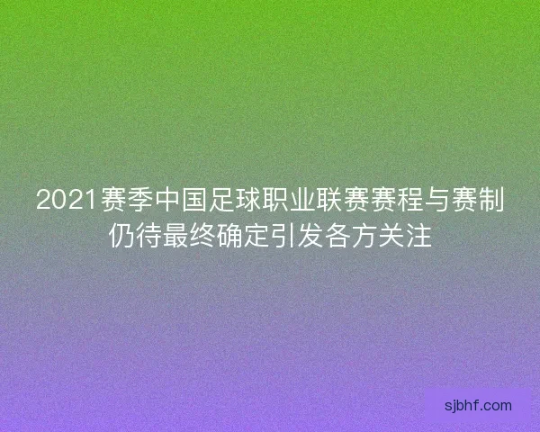 2021赛季中国足球职业联赛赛程与赛制仍待最终确定引发各方关注
