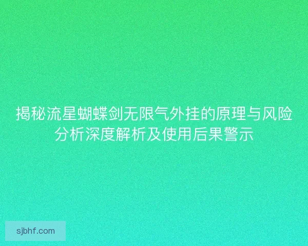揭秘流星蝴蝶剑无限气外挂的原理与风险分析深度解析及使用后果警示 揭秘流星蝴蝶剑无限气外挂的原理与风险分析深度解析及使用后果警示